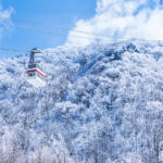 Salju dan Musim Dingin