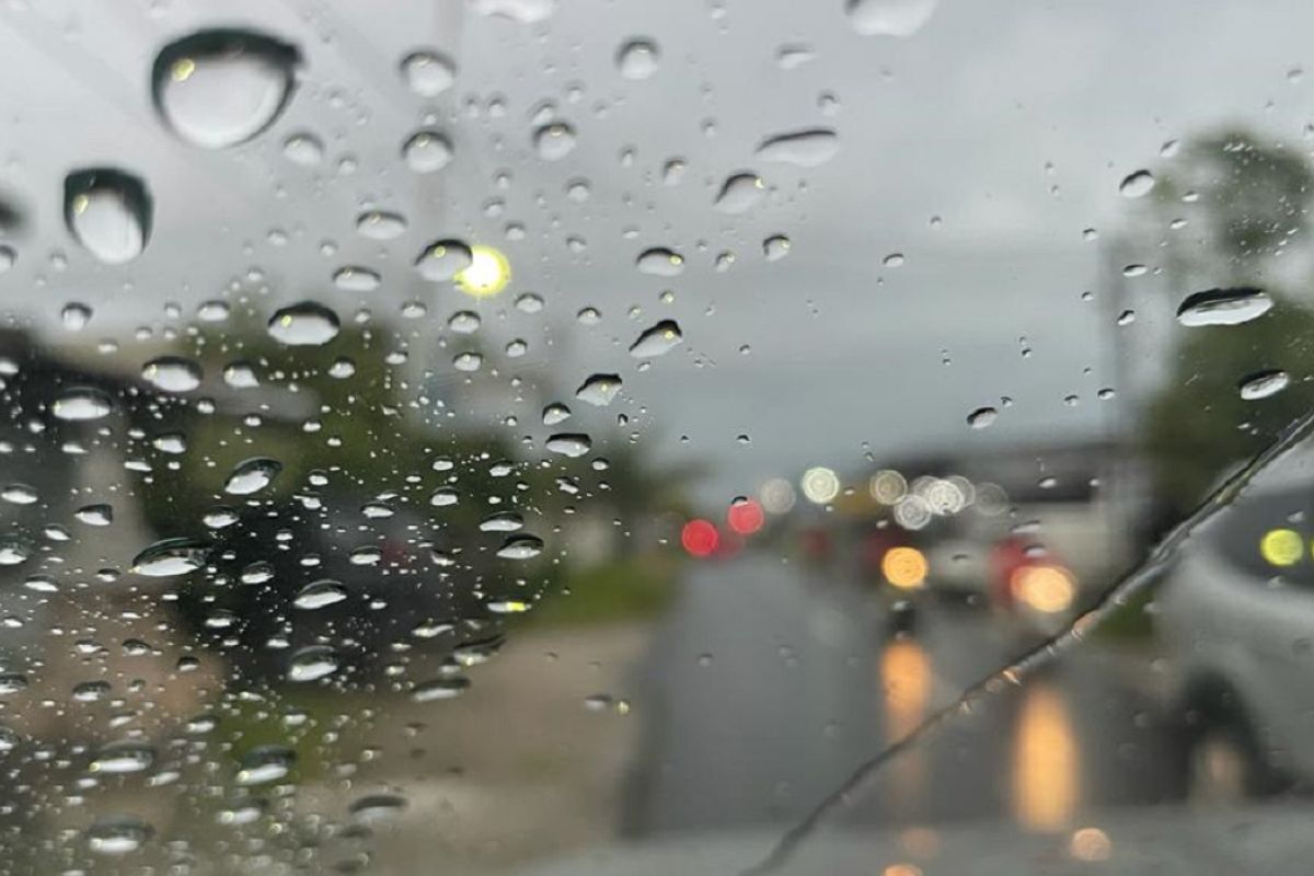 Cuaca Hujan Gerimis: Tetesan Ringan yang Menyuburkan Alam