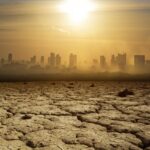 Dampak Gelombang Panas