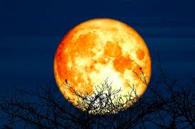 Fenomena Supermoon