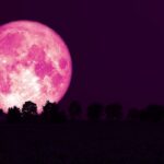 Fenomena Strawberry Moon